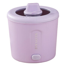 Mini-bouilloire électrique 1 L (450 W) – Cuiseur multifonctionnel pour ramen, pâtes et soupes, avec protection contre la surchauffe, portable