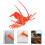 1pc Magnetic Message Posting Red Plastic Fridge Decoration Magnet Adorable Style 1