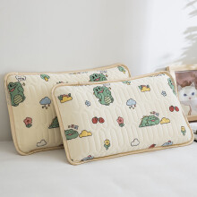 Memory Pillow 30x50 Pillowcase Spring And Flower Pillow Stomach Sleeping Pillow