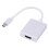 Type C to HDMI 4K Adapter, 10GBit, Silver, 25x5cm Plug & Play 2