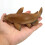 Small Fish Figurine Realistic Aquarium Decor 2 pcs 7