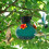 Solar Lighted Bird Feeder with LED 1