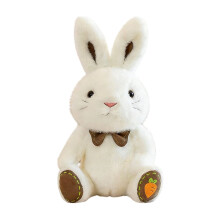 Plush Rabbit Stuffed Animal Cute Birthday and Graduation