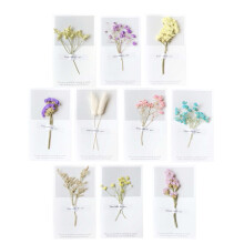 12pcs Teachers' Day Gift Valentine's Day Dried Flower Greeting Cards ( Style)