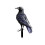Halloween Crow Ornament Black Plastic Garden and Tree Decor 1