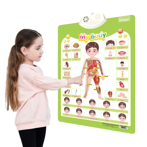 Electronic Alphabet Wall Chart, Educational Toy for Kids 3-7, Vertical ABCD Learning Chart, Interactive Map for Toddlers, Compatible with AA