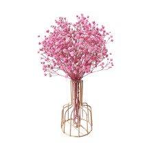 Dried Pampas Grass Decoration Flower Branch for Home Decor,Wedding,Table Decor,DIY Wreath Floral,Dry Flowers Bulk for Vase,12.6inches