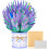 Ευχετήρια κάρτα 3D με αναδυόμενο μπουκέτο λουλουδιών με σημείωμα και 1