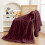 Thickened Golden Turtle Velvet Blanket Turtleback Multifunctional Nap Student 1