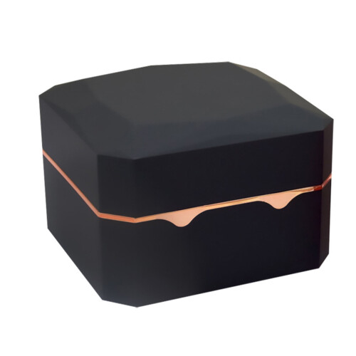 LED Light Single Watch Case Jewelry Display Storage Holder Gift Protective Box
