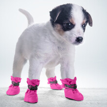 Protective Pet Water Shoes for Indoor Outdoor Use – Durable Boots for Small Cats and Puppies Lightweight TPR Sole Footwear for Safe Play 4PCS