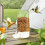 Automatic Bird Water Dispenser Leak-Proof Hanging Feeder 7