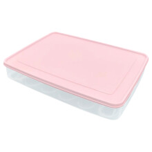 1 Pc Pink Deviled Egg Container (11.81"x9.05"x2.24"), 24-Count, with Lid, Portable Carrier & Refrigerator Tray – Easter Party Compatible