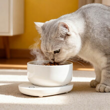 Intelligent USB Powered Ceramic Pet Food Bowl Heater Insulated Thermal Feeding Tray For Cats Maintains Optimal Meal Temperature