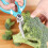 Stainless Steel Kitchen Shears Compatible with DCKSS721D2, Cordless 20V Max Combo Set 4