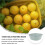 NICEXMAS Wash Basin for Home Use Kitchen Laundry with Space Saving Design 3