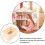 Small Wood Crate Rectangular 1Pcs for Decorative Charm 2