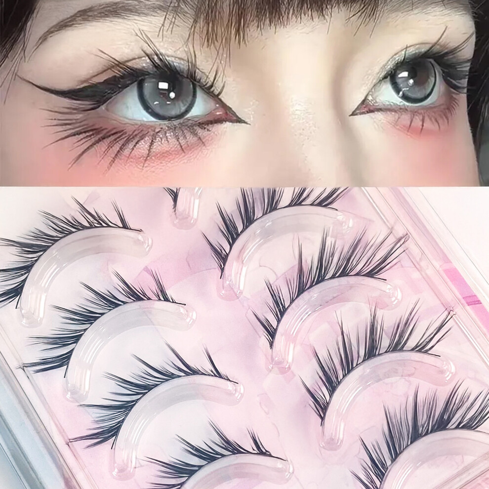 Dachuang Beauty (Fox Flying In A Slanted) 5 Pairs Natural False Eyelashes For Night Out