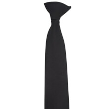 Men's and Women's Polyester Pre-Tied Necktie Adjustable