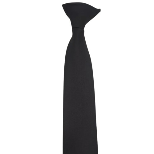Men's and Women's Polyester Pre-Tied Necktie Adjustable