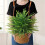 Piante artificiali simulate per la decorazione di giardini e case - Bouquet e piante da esterno 1