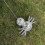 Mini Mirror Disco Ball with Hanging Ring 4