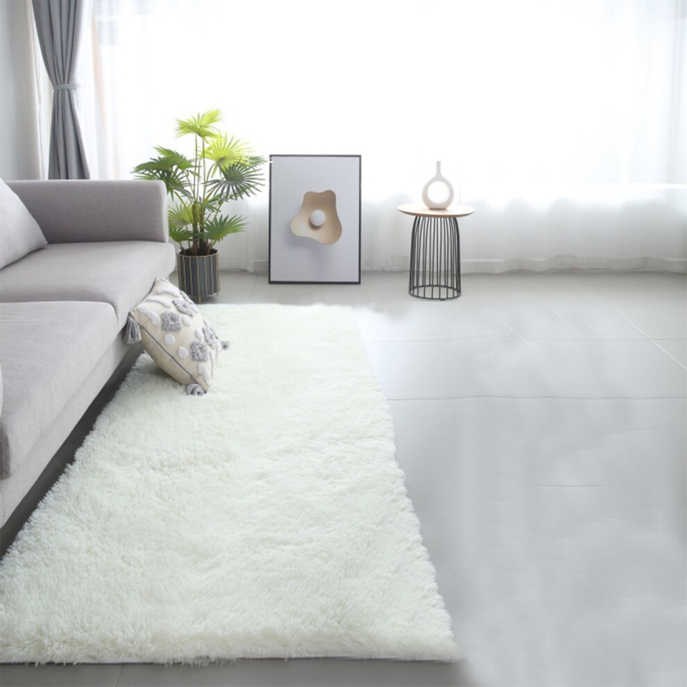 Plush Shag Area Rug,Soft Furry Carpet For Bedroom Living Room,Non-Slip Indoor Throw Rug,Kids Nursery Dorm Decor Holiday Gifts
