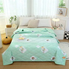 Washable Printed Quilt, Lightweight Microfiber Summer Quilt – Queen Size, All-Season, Modern Style, Ultra-Soft, Clearance