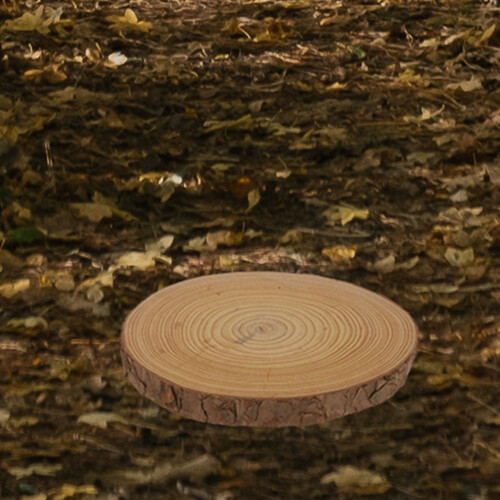 Garden Stepping Stone Beige Round Wood 1 Pack 1