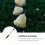 Picker Fruit Nut Gatherer Pole Harvester Telescopic Rod Walnut Collector Walnuts Tool Adjustable Extension Weasel 6