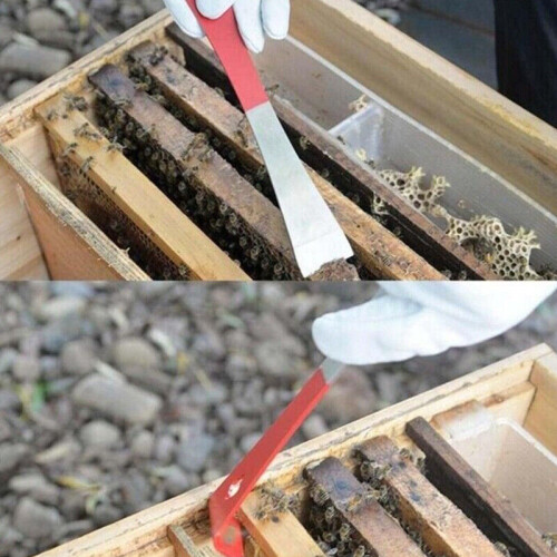 1pc Stainless Steel Bee Hive Tool J Hook Bee Frame Lifter and Scraper Equipment Tool 2