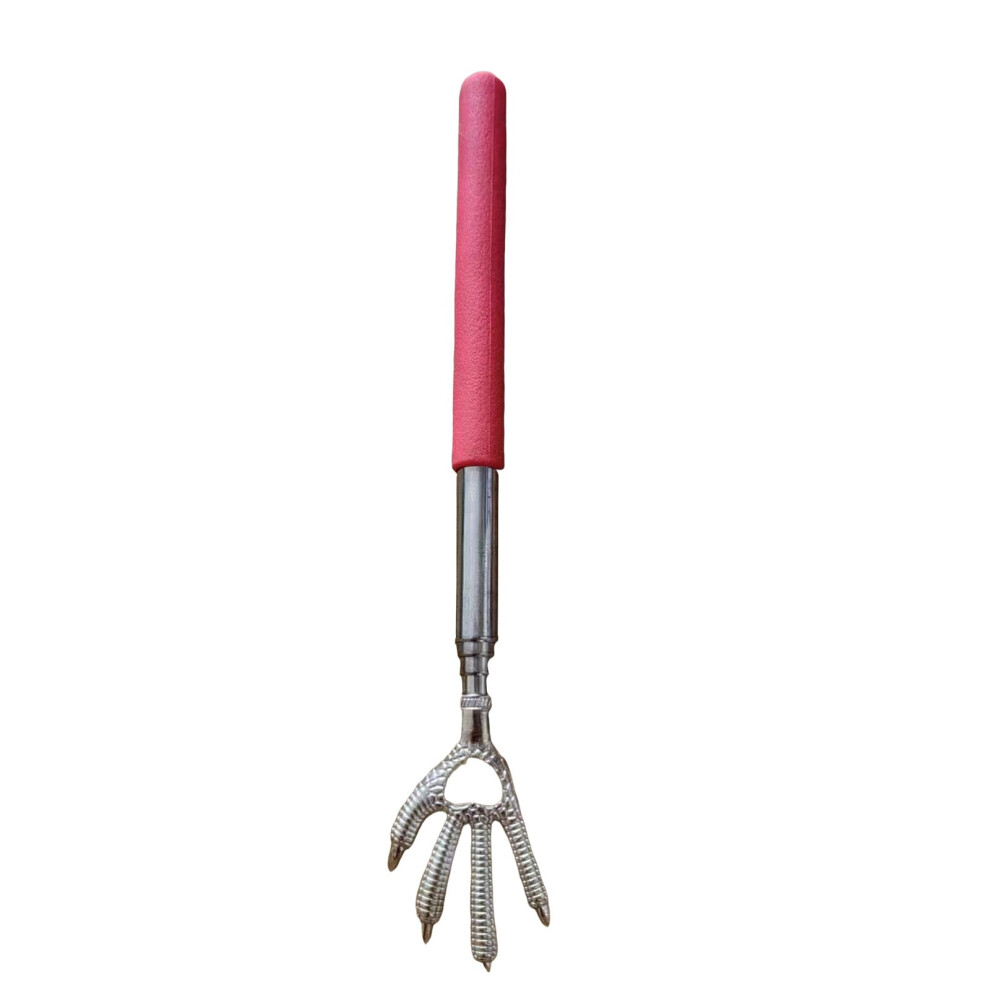 Eagle Claw Scratching Back C, Office&Craft&Stationery,Stainless Telescopic Back Scratcher Bear Scratching Hands Extendable