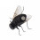 Black Small Refrigerator Magnets for Home Kitchen Office 4