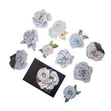 Adesivi vintage di piante e fiori PET per album di ritagli, quaderni e cover per telefoni