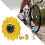 Τροχός οδηγός ποδηλάτου, πίσω ντεραγιέ από κράμα αλουμινίου, τροχός τζόκεϊ, πίσω 5