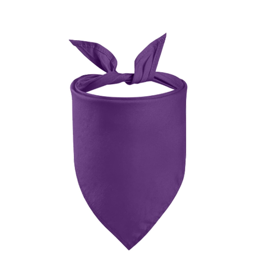 Absorbent And Adjustable Bib For Mealtime And Grooming From And Food Stains