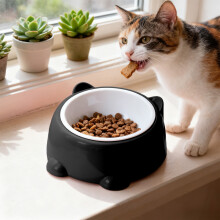 Cat Elevated Food and Water Bowl – 6.3 x 3in Raised Feeder for Digestion and Whisker Relief with Non-Slip Base(Black)