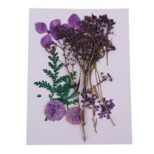 Natural Pressed Leaves and Dried Flowers Bag for DIY