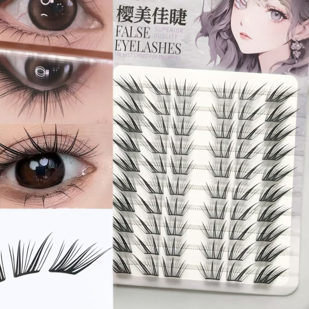 Dachuang Beauty (60 Glue Type) Soft Natural False Eyelashes For Daily Wear