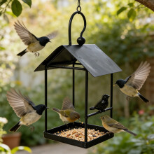 AuroraX Bird Feeder Tray Outdoor Weatherproof Green