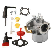 798653 For BS Carburetor Kit 696981 698860 694508 795069 698859 591299 798650