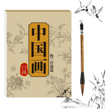 Chinese Painting White Drawing Copying Album, Chinese Calligraphy Paper Book, Tracing Writing Practice Paper Workbook (S6)