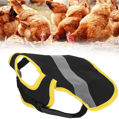 (Black) Reflective Chicken Vest for Laying Hens 2
