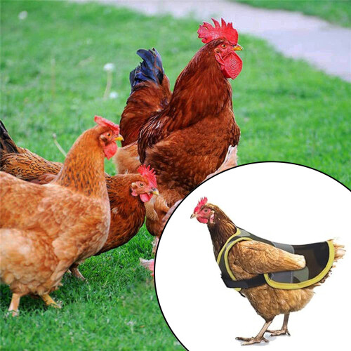 (Camouflage) Reflective Chicken Vest for Laying Hens 2