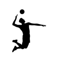 Wall Decal Vinyl Sticker Volleyball Game Sport Player Jump Ball Hit