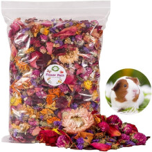 Natural Flower & Herb Hamster Bedding, Soft Green Forage for Habitat Decor, Odor-Control Guinea Pig/Rabbit Bedding (Flower Path-B)
