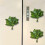 Karymi Green PVC Grapefruit Leaf Fridge Magnet 1.9x1.9 inch 5