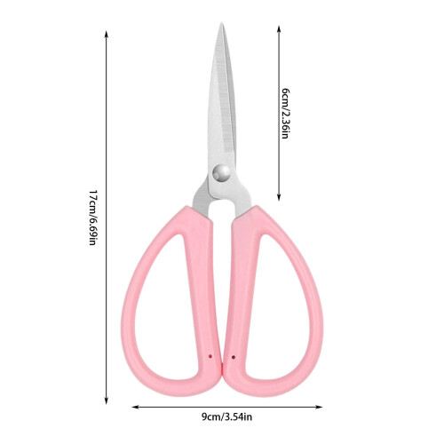 Stainless Steel Scissors Pointed Small 1 Pair 1