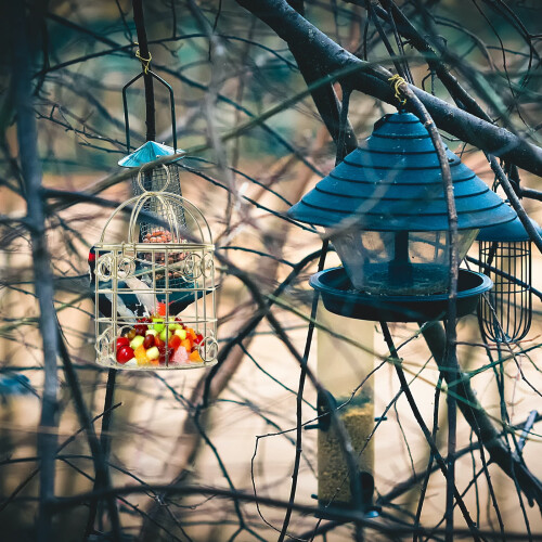 2 PCS Small Bird Cages for Parakeets Round Feeder Lightweight 2