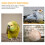 2 PCS Small Bird Cages for Parakeets Round Feeder Lightweight 7